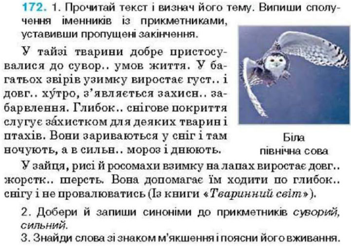 Завдання 172 - Вправи 104-199 | ГДЗ Українська мова 4 клас Вашуленко Дубовик 2015