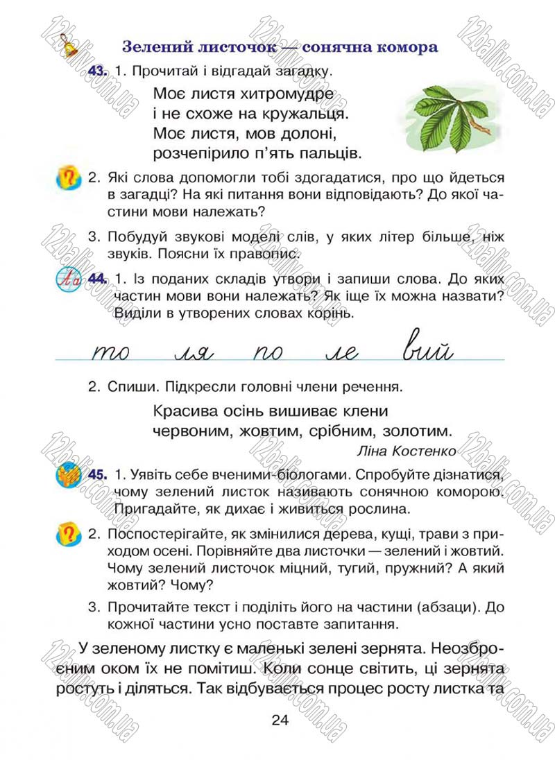 Сторінка 24 - Підручник Українська мова 4 клас Л.О. Варзацька, Г.Є. Зроль, Л.М. Шильцова 2015