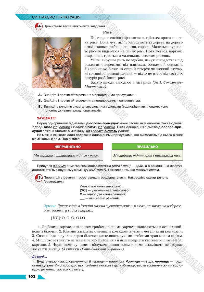Сторінка 102 - Підручник Українська мова 8 клас Авраменко 2016 - скачати онлайн