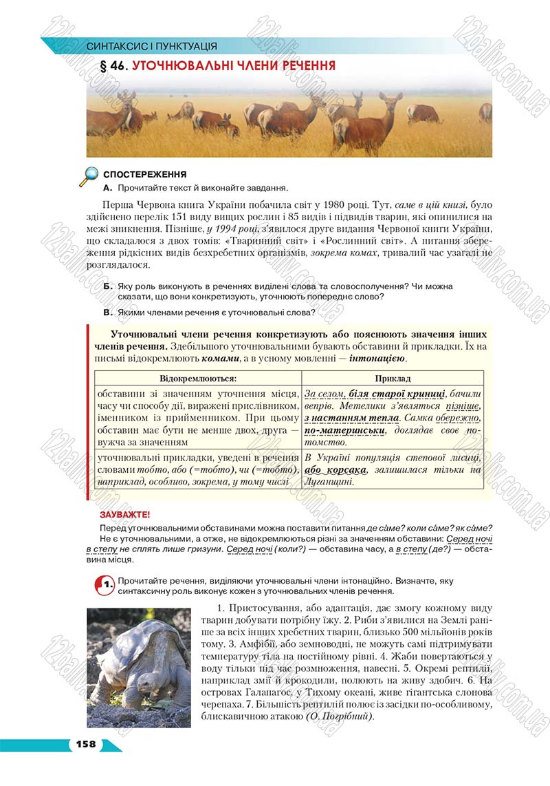 Сторінка 158 - Підручник Українська мова 8 клас Авраменко 2016 - скачати онлайн