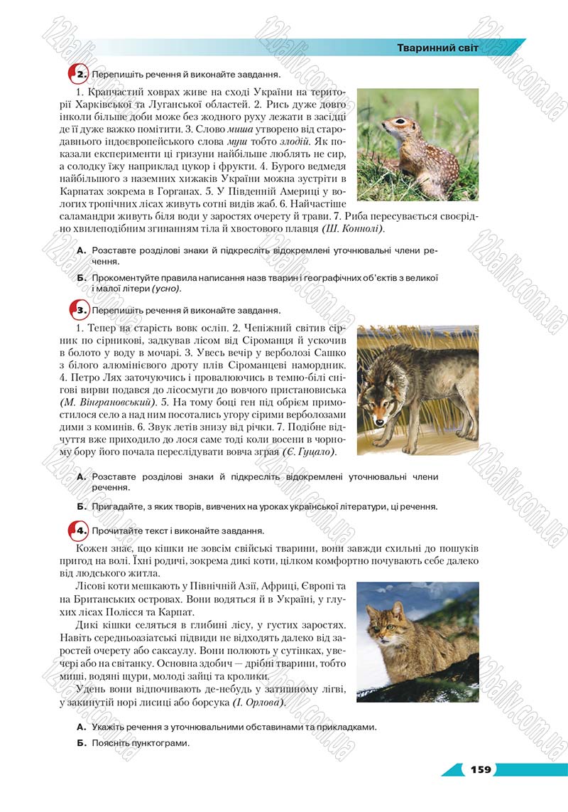 Сторінка 159 - Підручник Українська мова 8 клас Авраменко 2016 - скачати онлайн