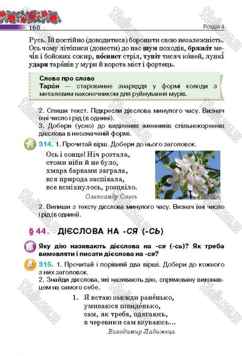 Сторінка 160 - Підручник Українська мова 4 клас М.С. Вашуленко, С.Г. Дубовик 2015