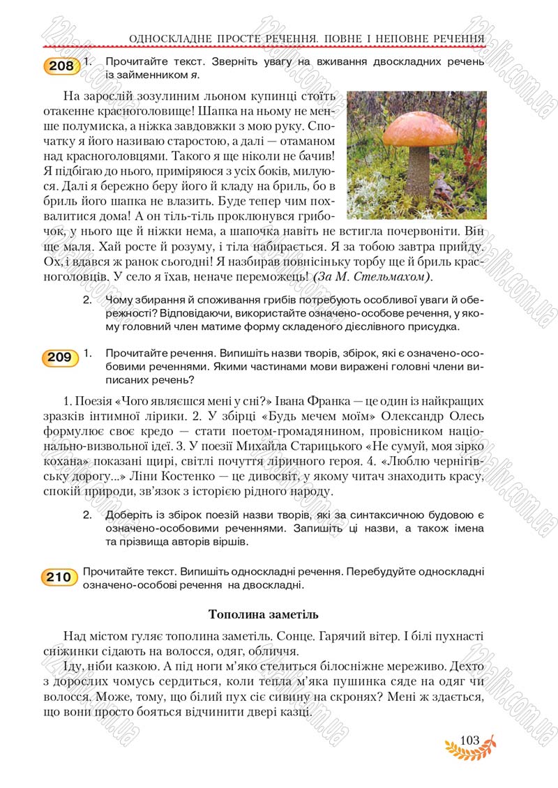 Сторінка 103 - Підручник Українська мова 8 клас С.Я. Єрмоленко, В.Т. Сичова, М.Г. Жук 2016