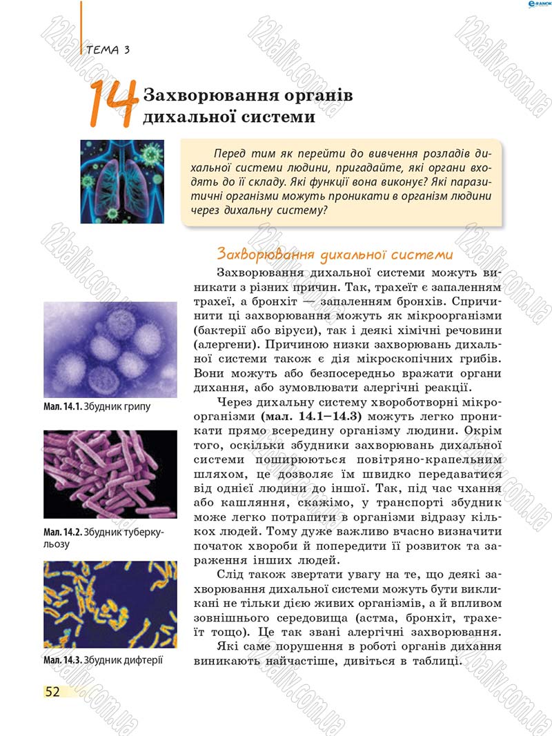 Сторінка 52 - Підручник Біологія 8 клас К.М. Задорожний 2016