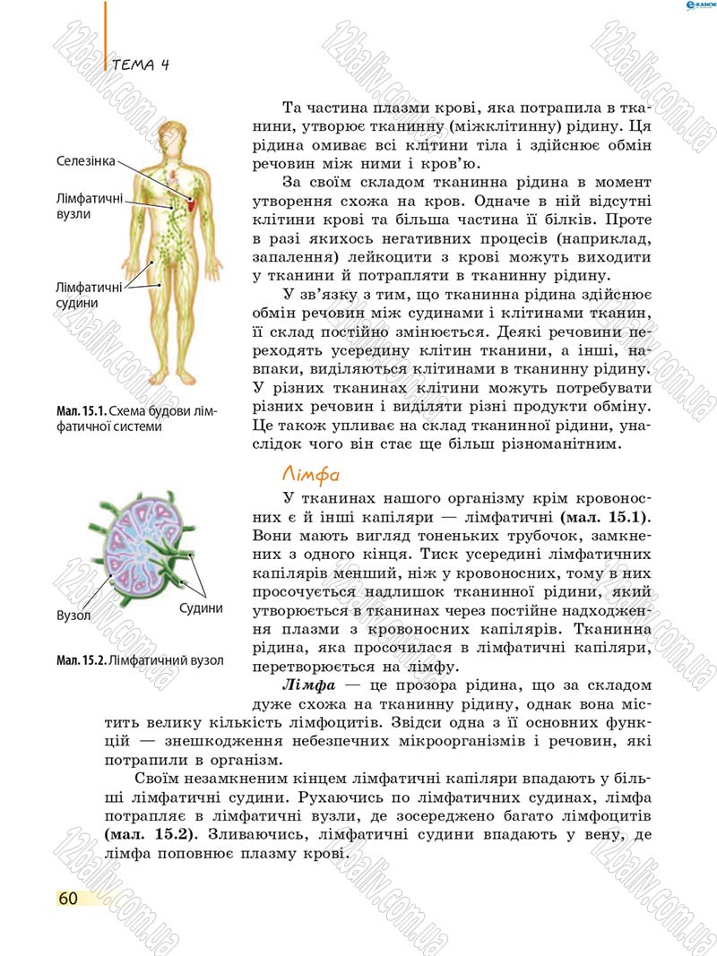 Сторінка 60 - Підручник Біологія 8 клас К.М. Задорожний 2016