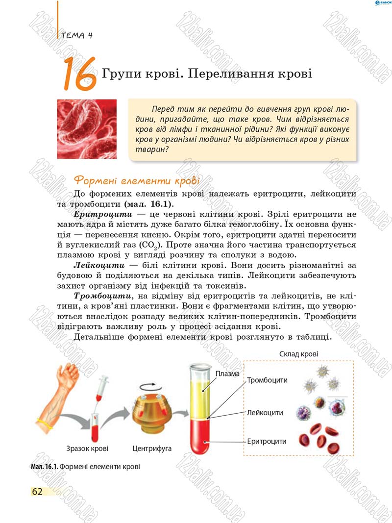 Сторінка 62 - Підручник Біологія 8 клас К.М. Задорожний 2016