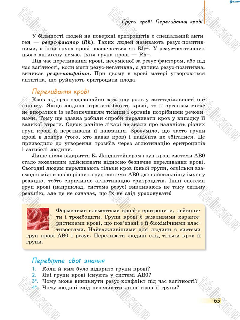 Сторінка 65 - Підручник Біологія 8 клас К.М. Задорожний 2016