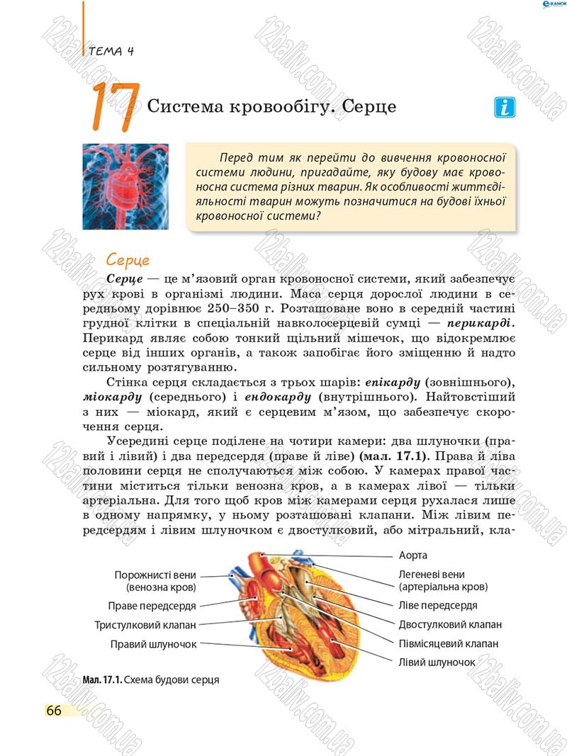 Сторінка 66 - Підручник Біологія 8 клас К.М. Задорожний 2016