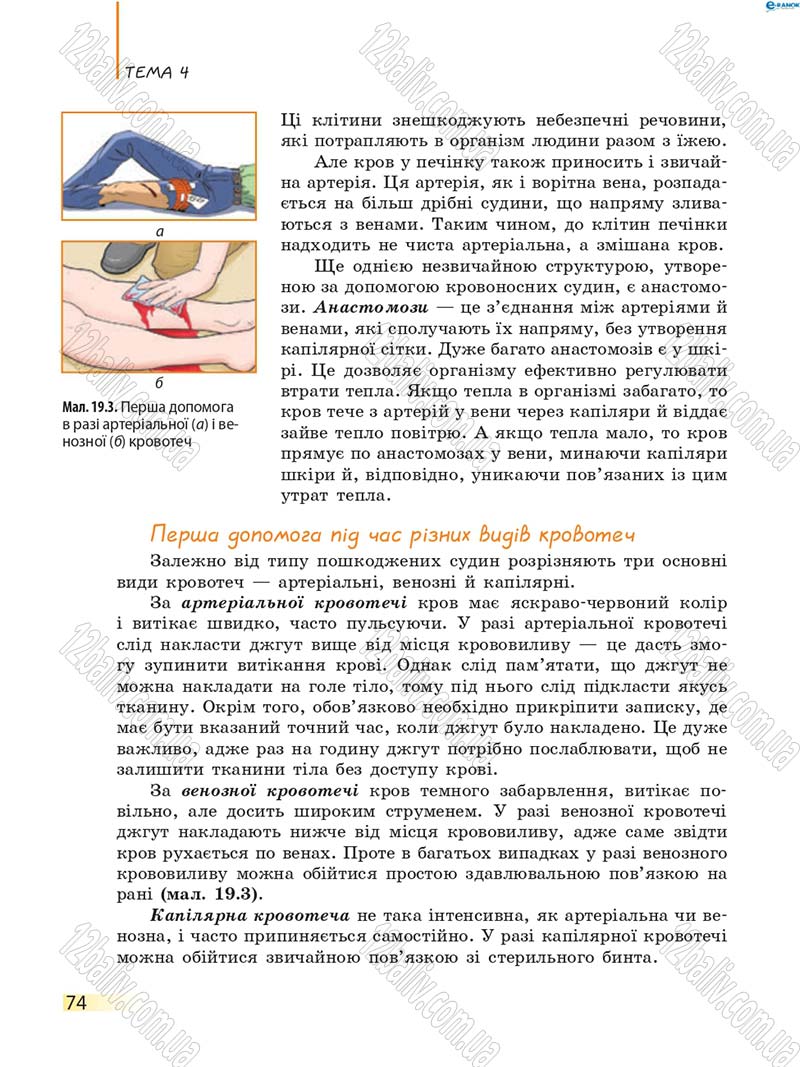 Сторінка 74 - Підручник Біологія 8 клас К.М. Задорожний 2016