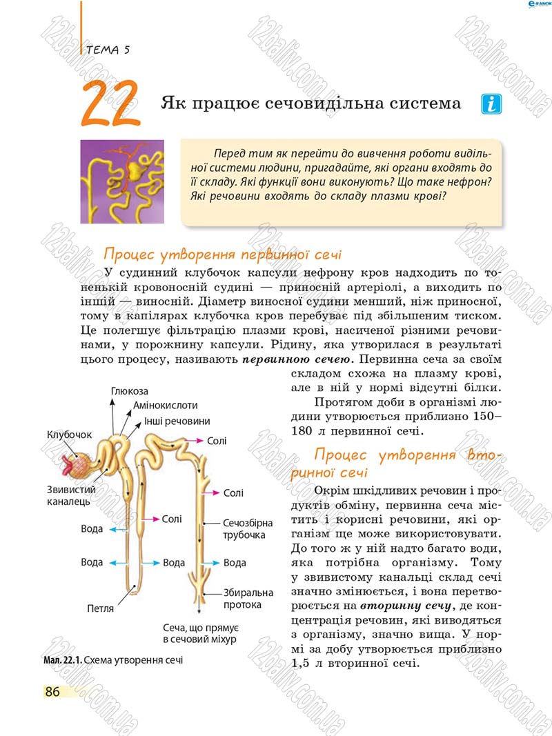 Сторінка 86 - Підручник Біологія 8 клас К.М. Задорожний 2016