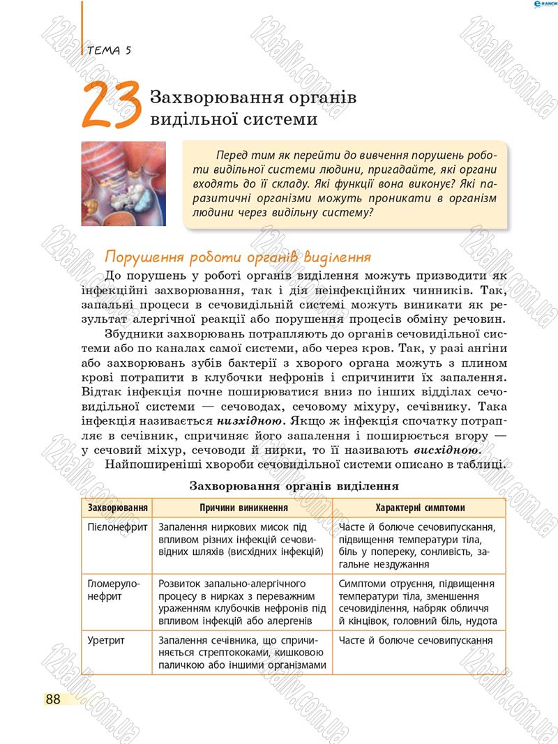 Сторінка 88 - Підручник Біологія 8 клас К.М. Задорожний 2016