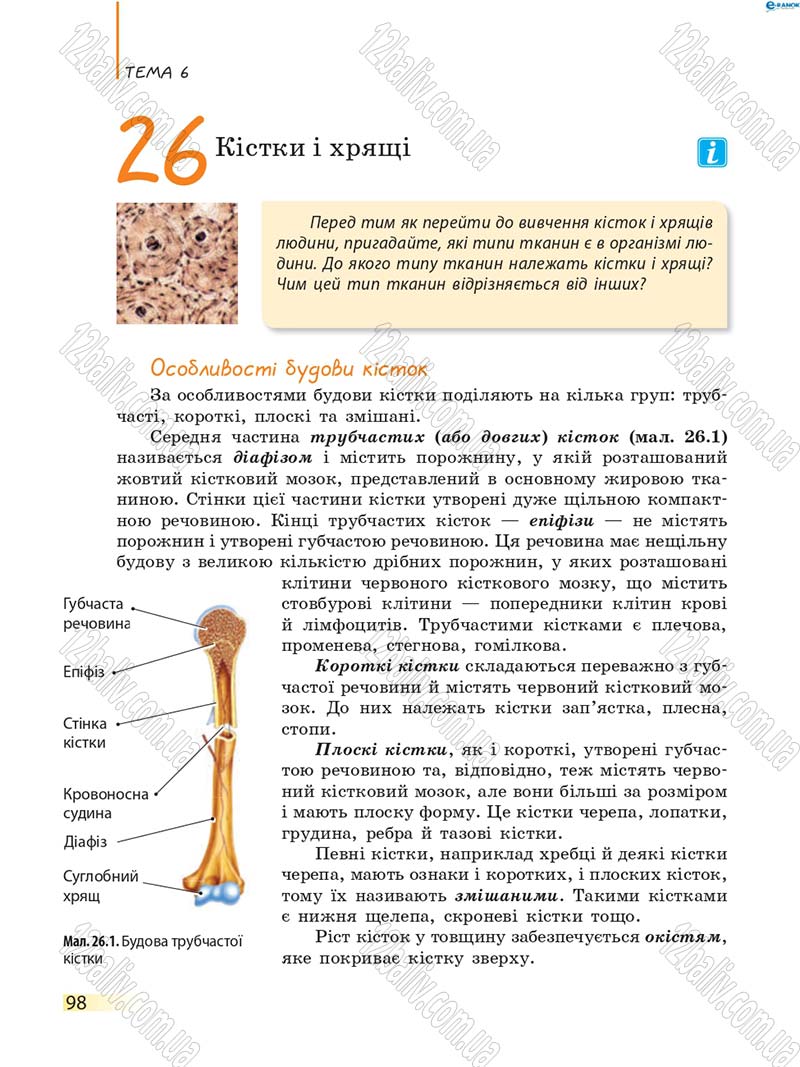 Сторінка 98 - Підручник Біологія 8 клас К.М. Задорожний 2016