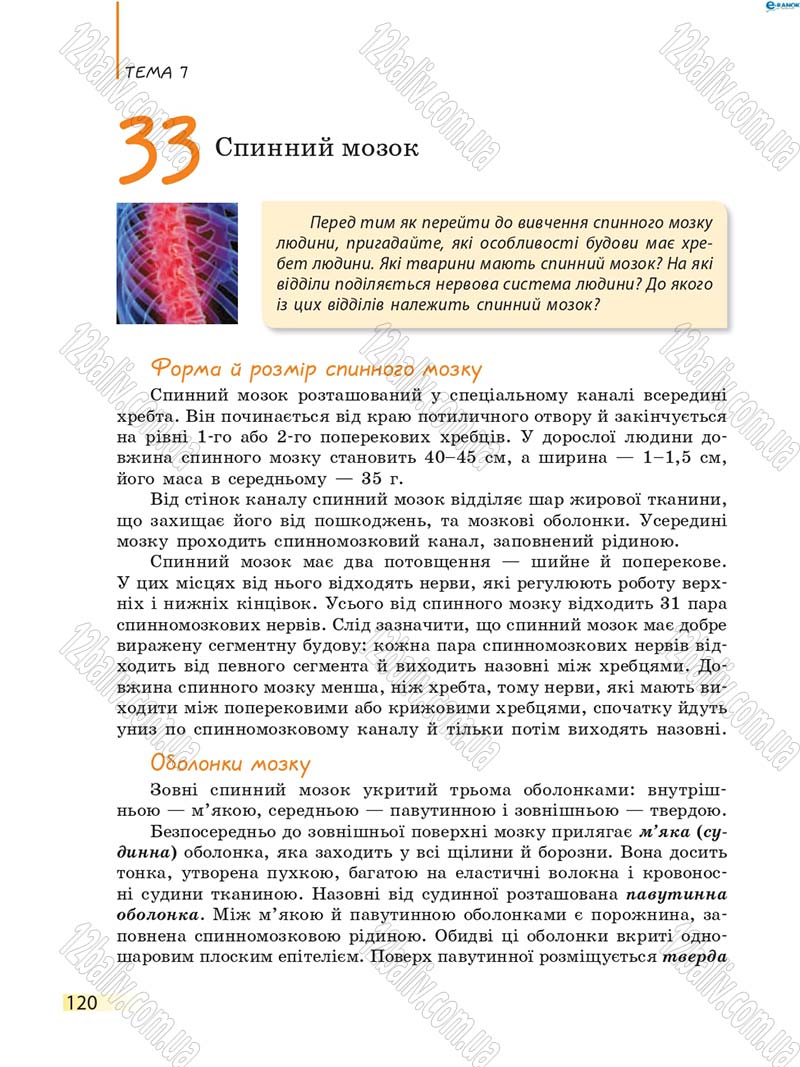 Сторінка 120 - Підручник Біологія 8 клас К.М. Задорожний 2016