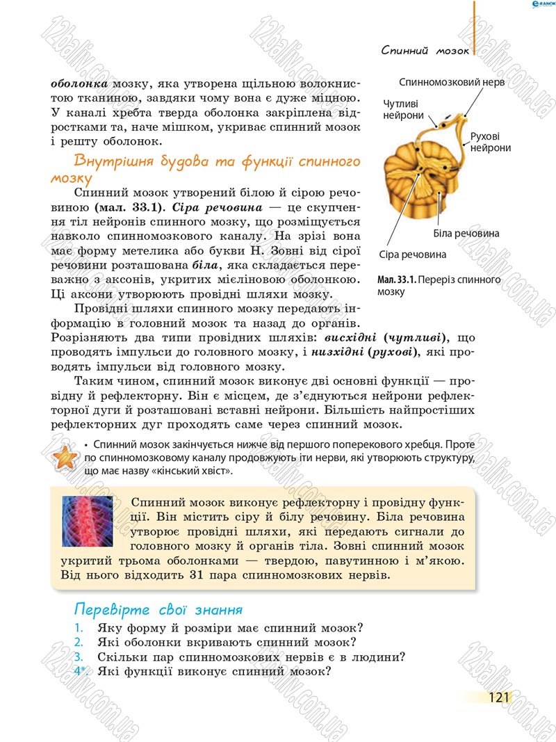 Сторінка 121 - Підручник Біологія 8 клас К.М. Задорожний 2016