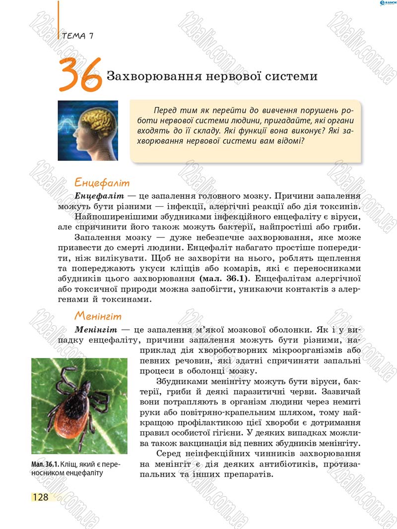 Сторінка 128 - Підручник Біологія 8 клас К.М. Задорожний 2016