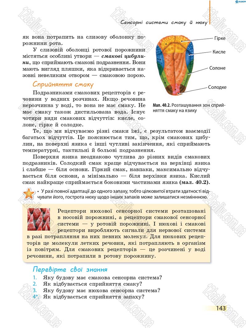 Сторінка 143 - Підручник Біологія 8 клас К.М. Задорожний 2016