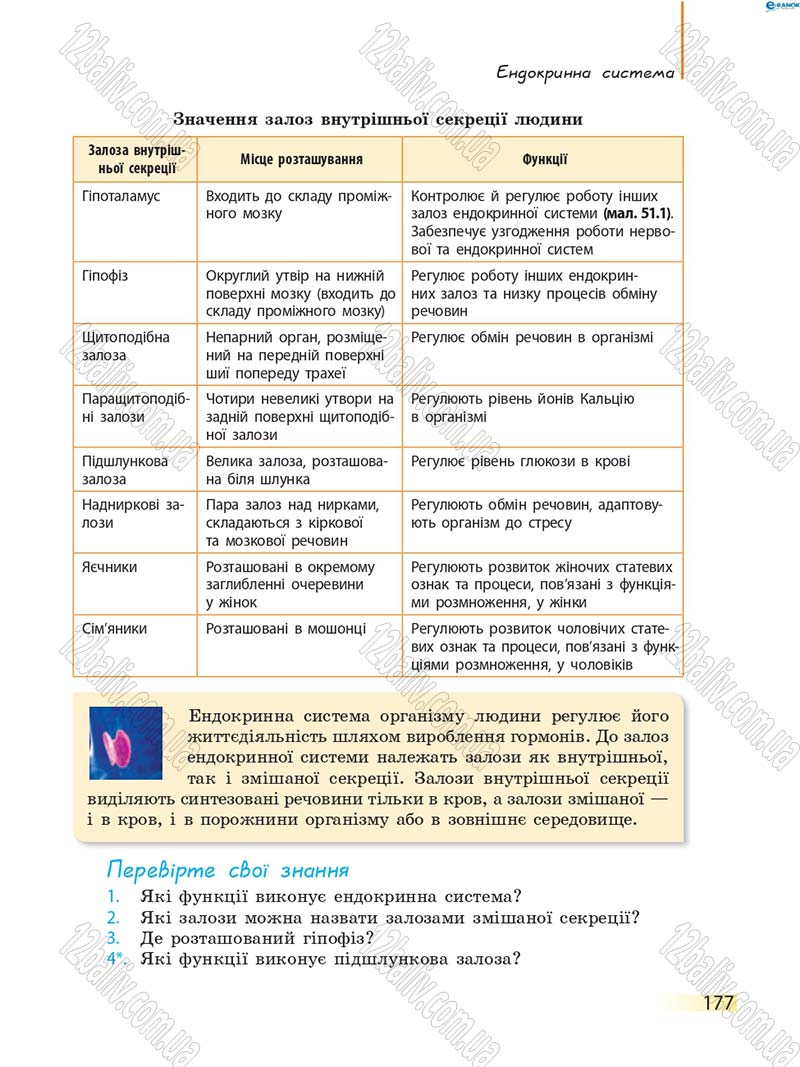 Сторінка 177 - Підручник Біологія 8 клас К.М. Задорожний 2016