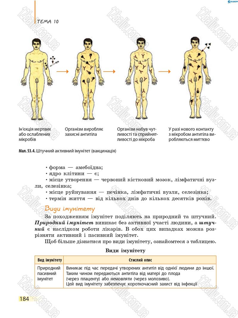 Сторінка 184 - Підручник Біологія 8 клас К.М. Задорожний 2016