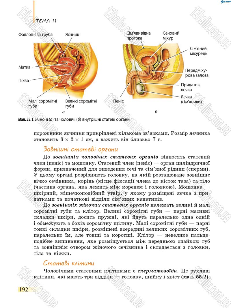Сторінка 192 - Підручник Біологія 8 клас К.М. Задорожний 2016