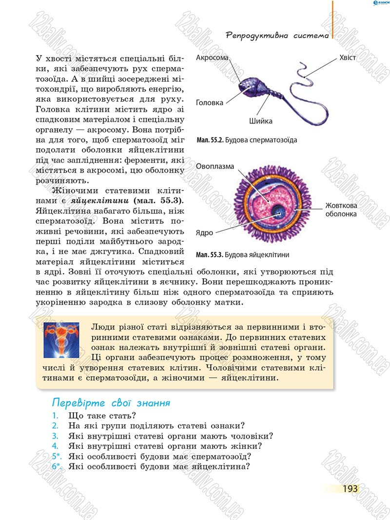 Сторінка 193 - Підручник Біологія 8 клас К.М. Задорожний 2016