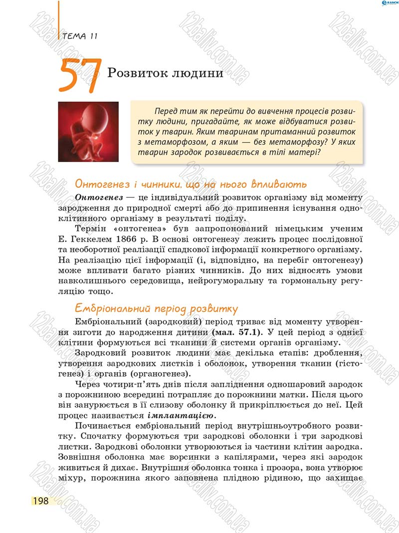 Сторінка 198 - Підручник Біологія 8 клас К.М. Задорожний 2016