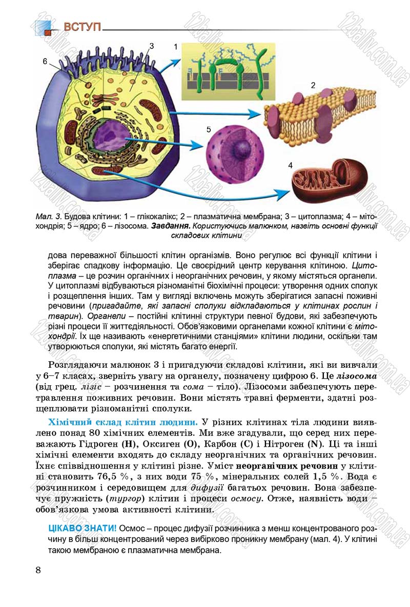 Сторінка 8 - Підручник Біологія 8 клас Н.Ю. Матяш 2016