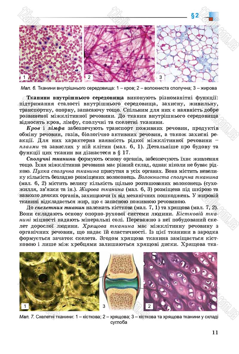 Сторінка 11 - Підручник Біологія 8 клас Н.Ю. Матяш 2016