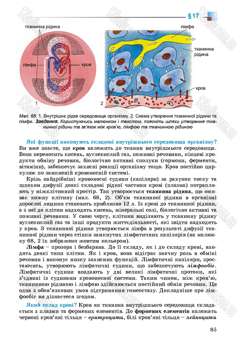 Сторінка 85 - Підручник Біологія 8 клас Н.Ю. Матяш 2016