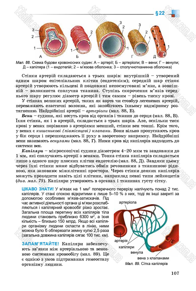 Сторінка 107 - Підручник Біологія 8 клас Н.Ю. Матяш 2016