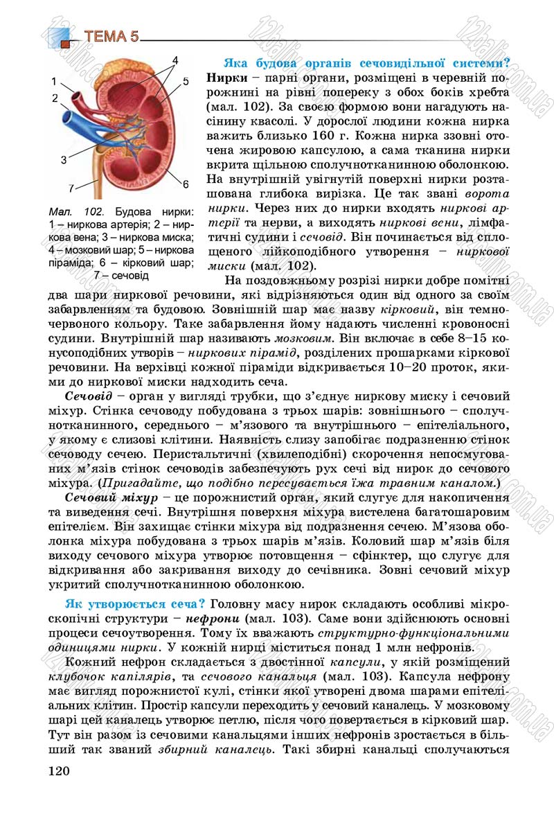 Сторінка 120 - Підручник Біологія 8 клас Н.Ю. Матяш 2016