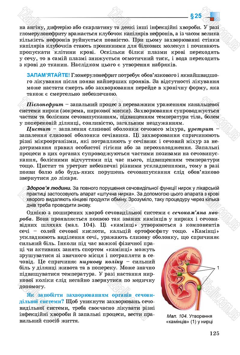 Сторінка 125 - Підручник Біологія 8 клас Н.Ю. Матяш 2016