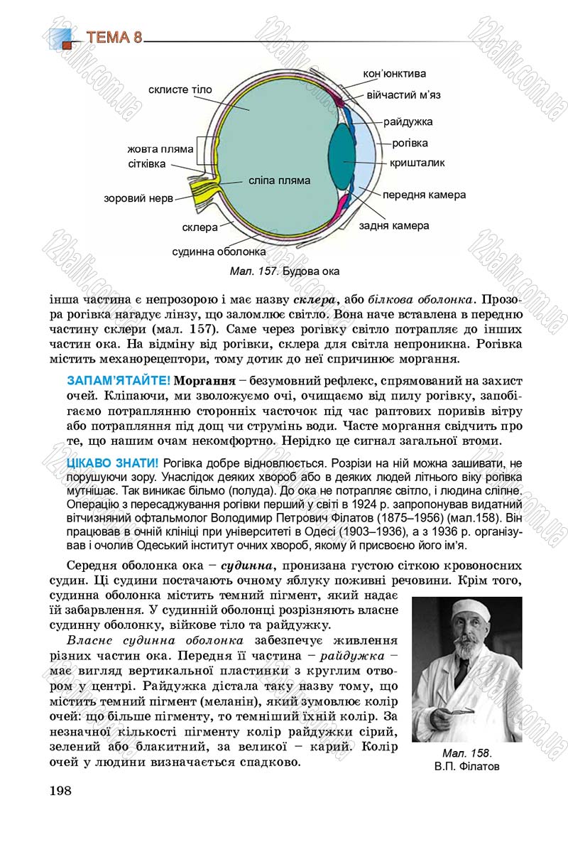Сторінка 198 - Підручник Біологія 8 клас Н.Ю. Матяш 2016