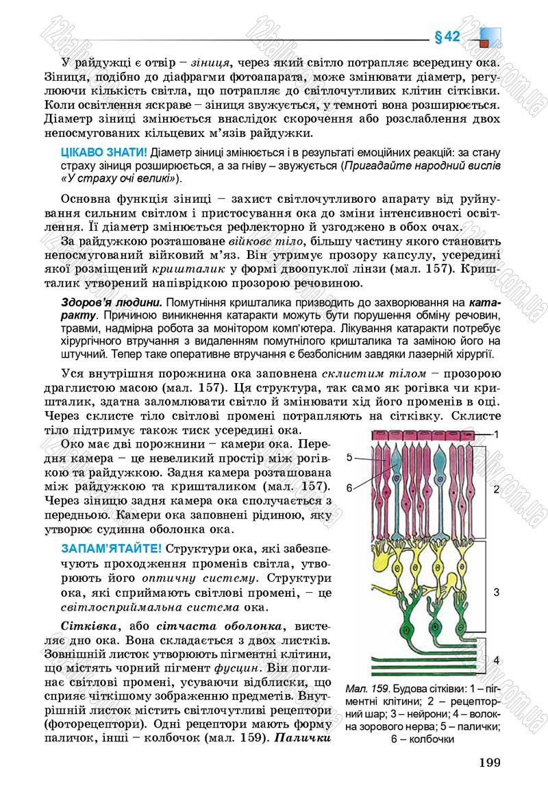 Сторінка 199 - Підручник Біологія 8 клас Н.Ю. Матяш 2016