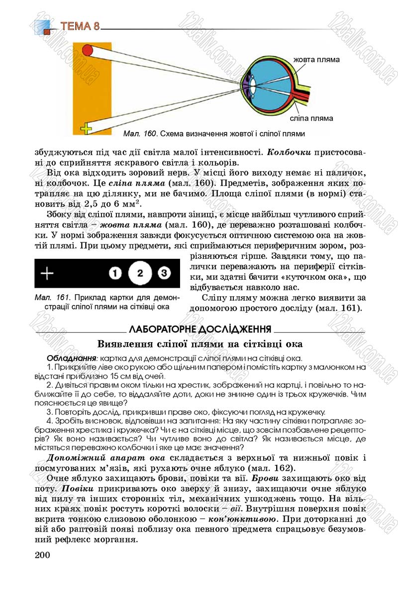 Сторінка 200 - Підручник Біологія 8 клас Н.Ю. Матяш 2016