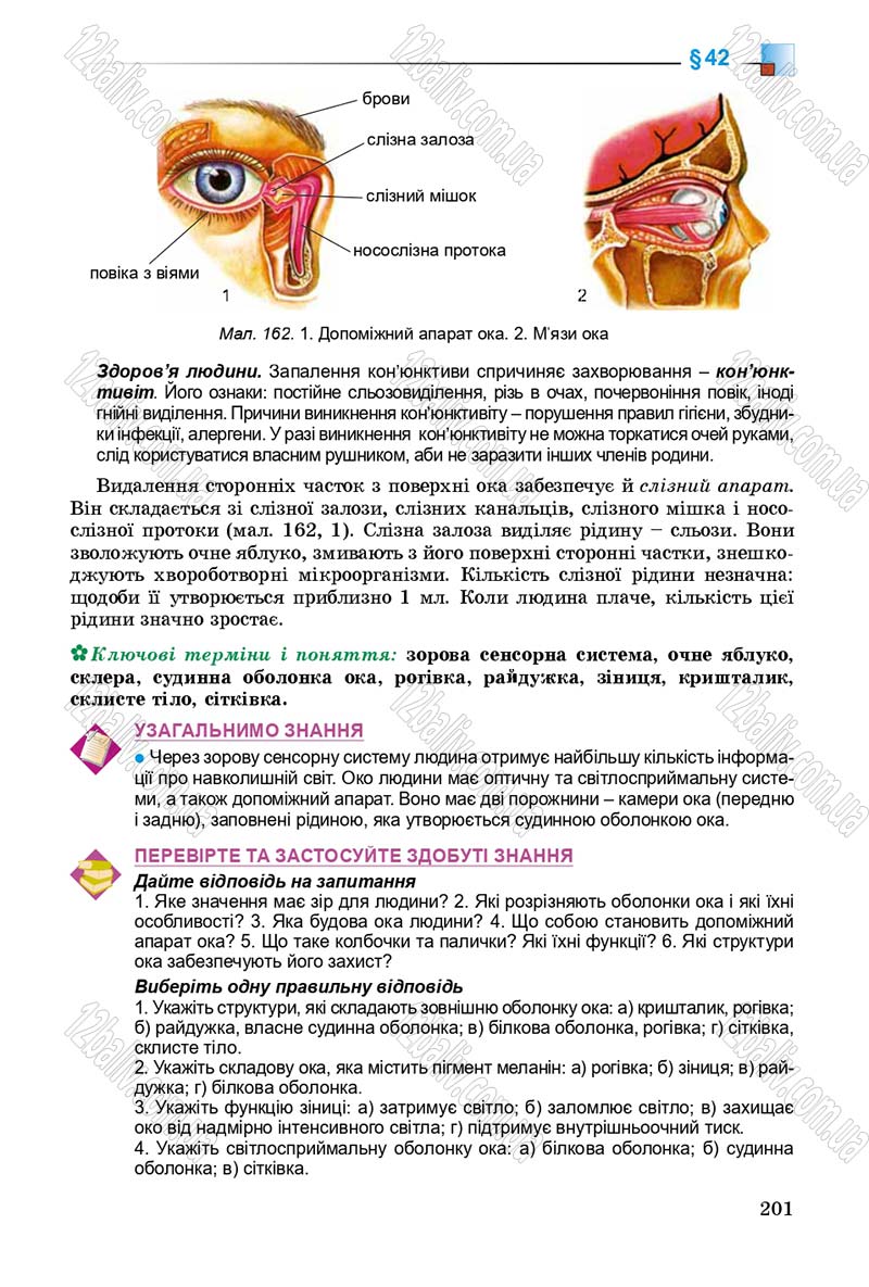 Сторінка 201 - Підручник Біологія 8 клас Н.Ю. Матяш 2016