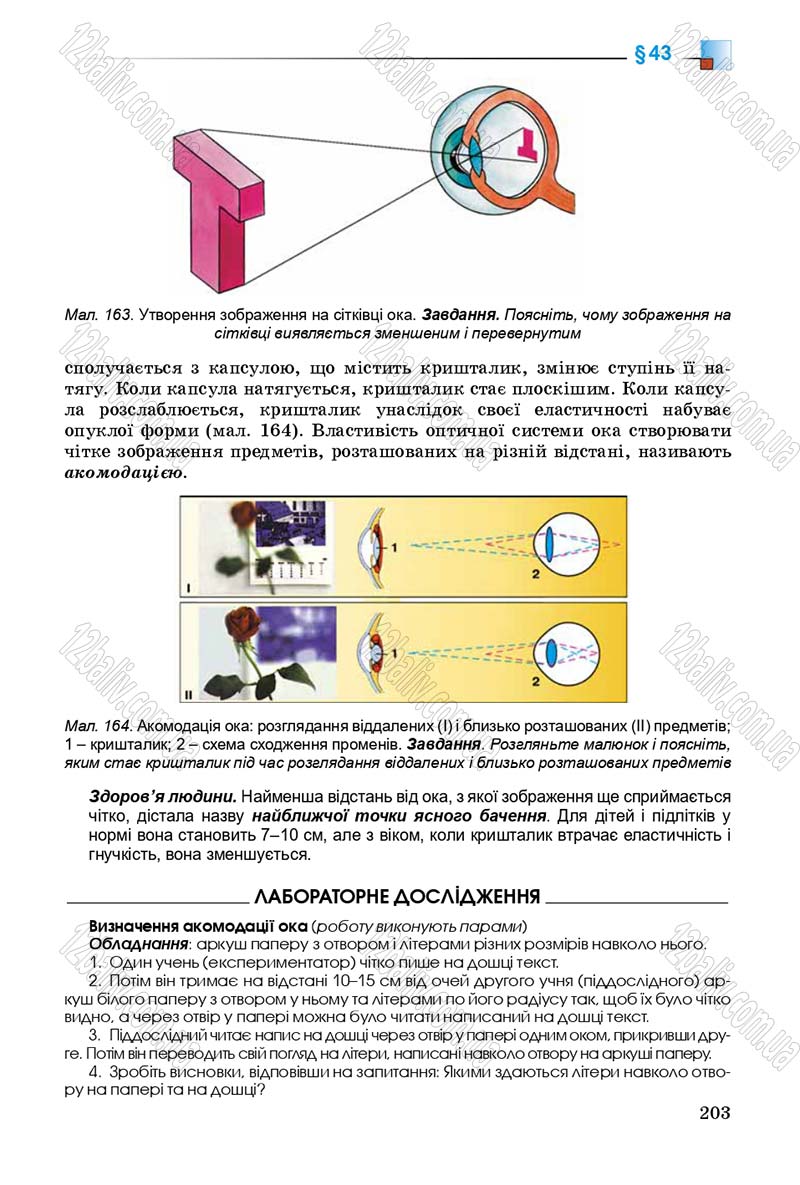 Сторінка 203 - Підручник Біологія 8 клас Н.Ю. Матяш 2016