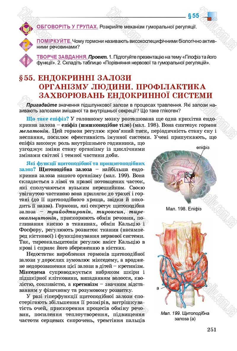 Сторінка 251 - Підручник Біологія 8 клас Н.Ю. Матяш 2016