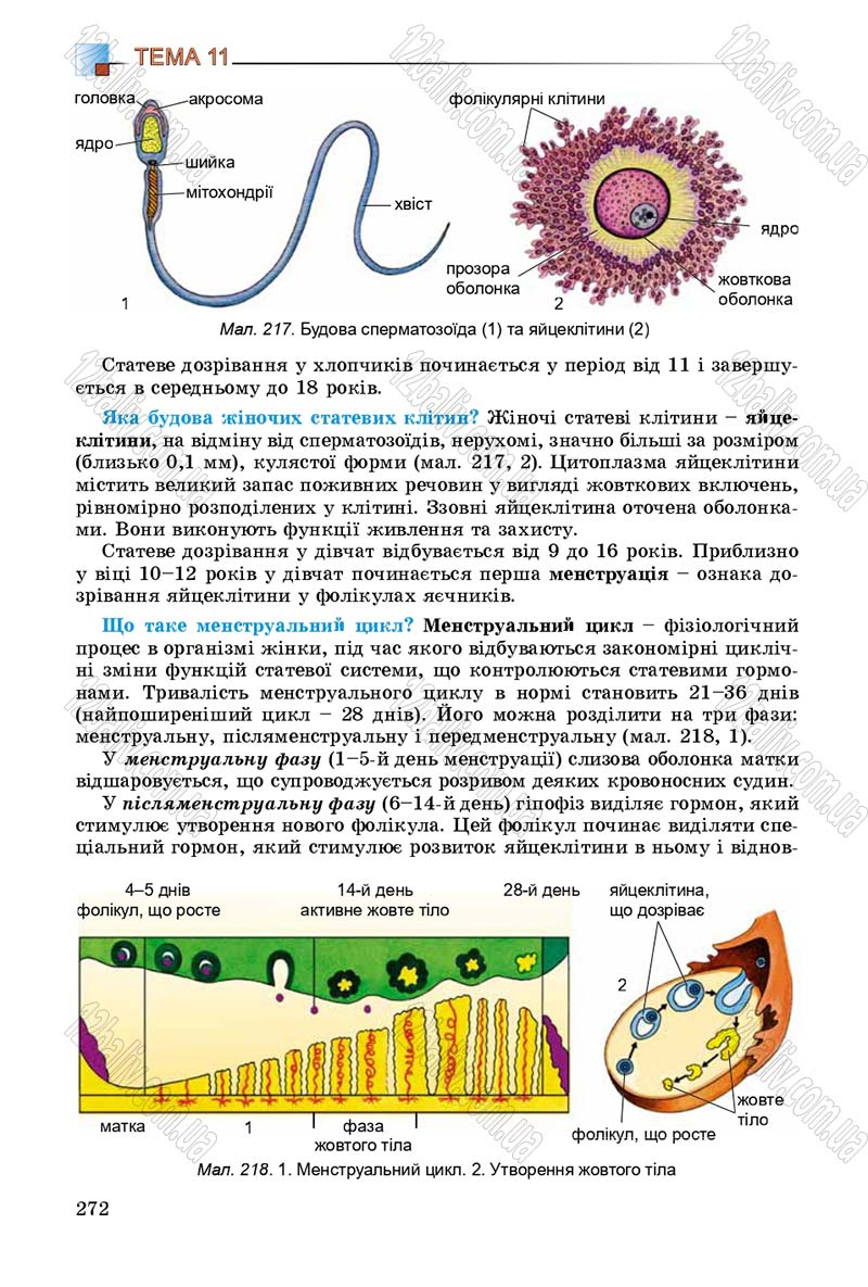 Сторінка 272 - Підручник Біологія 8 клас Н.Ю. Матяш 2016