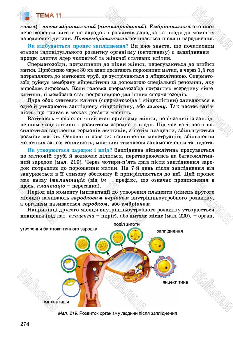 Сторінка 274 - Підручник Біологія 8 клас Н.Ю. Матяш 2016