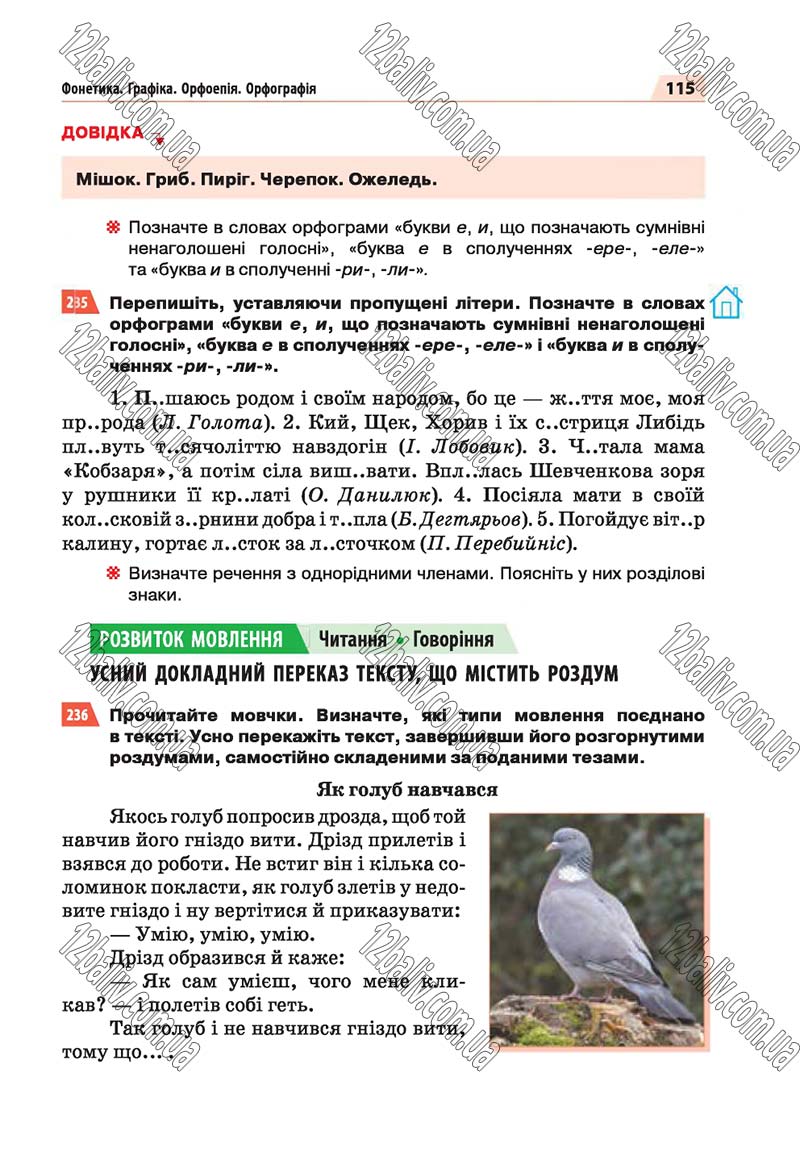 Сторінка 115 - Скачати підручник 5 клас Українська мова Глазова 2018 рік (НОВА ПРОГРАМА)