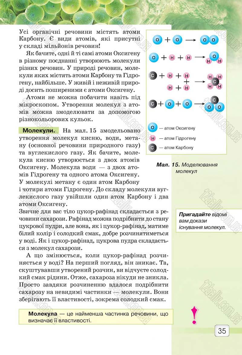 Сторінка 35 - Підручник 5 клас Природознавство Ярошенко 2018