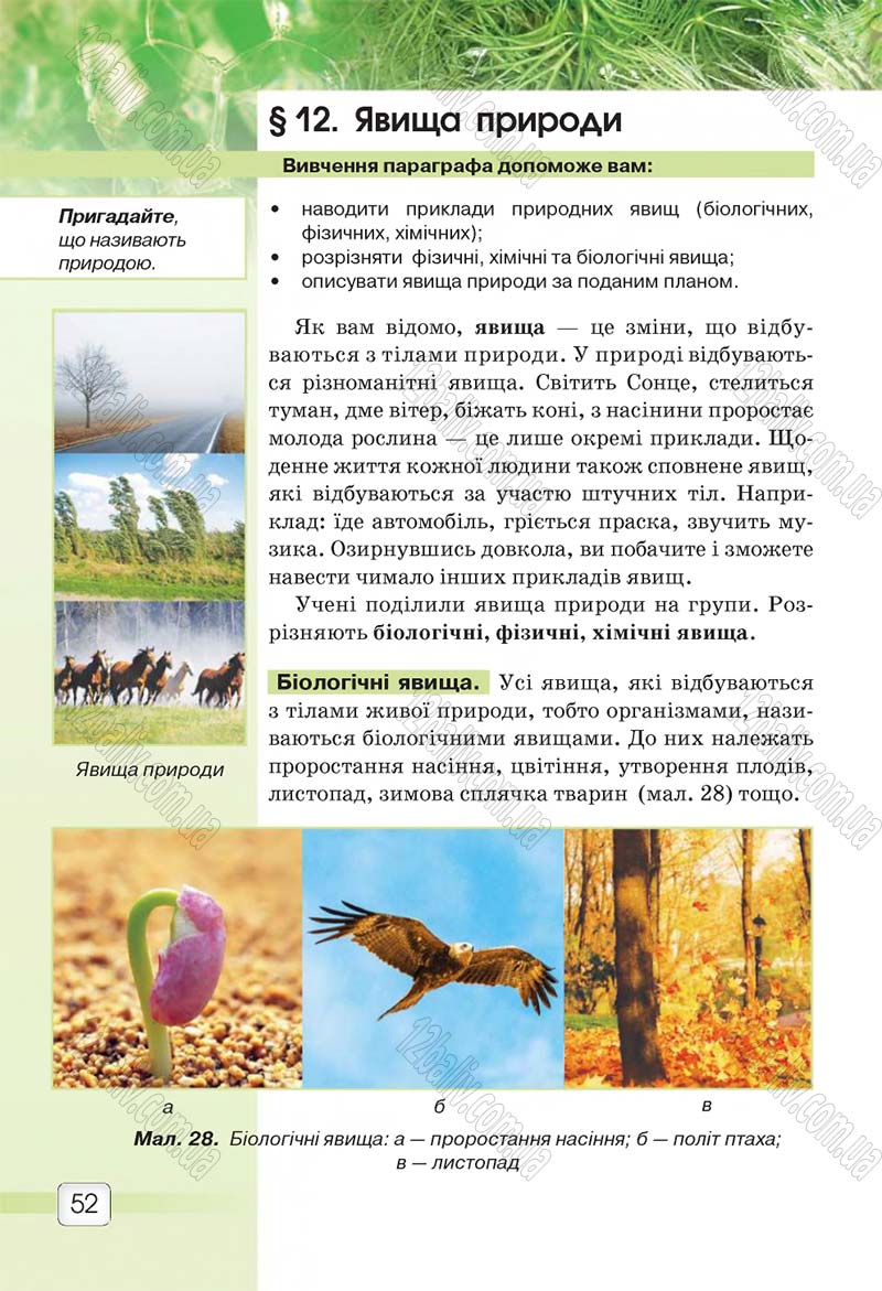 Сторінка 52 - Підручник 5 клас Природознавство Ярошенко 2018