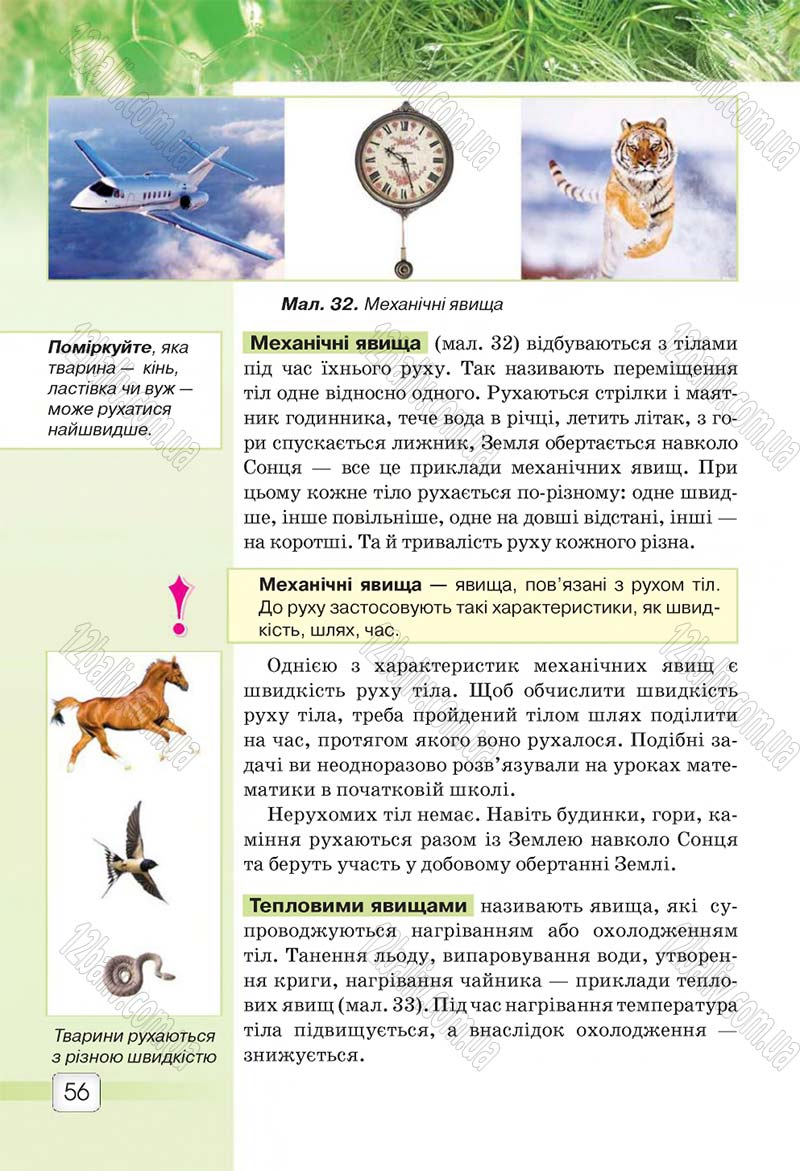 Сторінка 56 - Підручник 5 клас Природознавство Ярошенко 2018