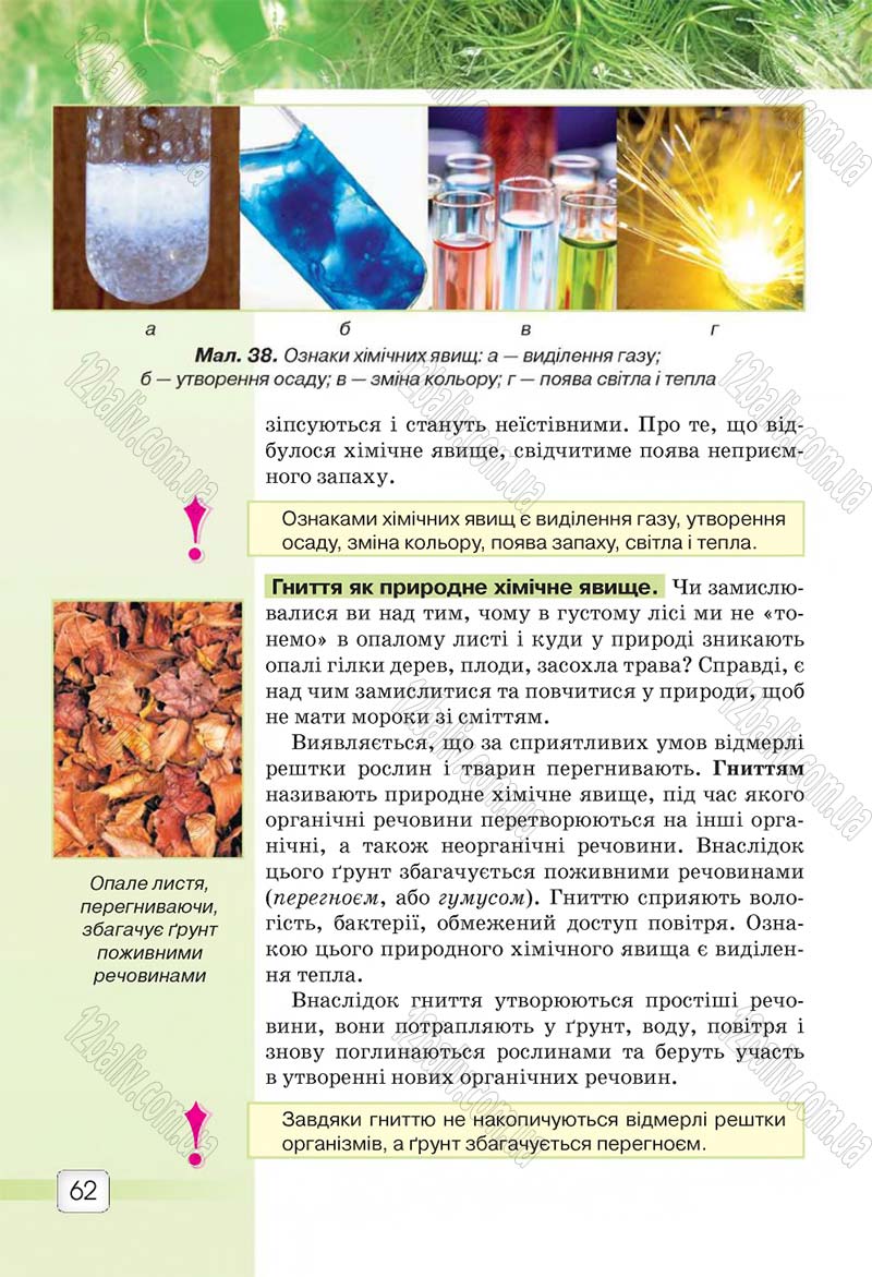 Сторінка 62 - Підручник 5 клас Природознавство Ярошенко 2018