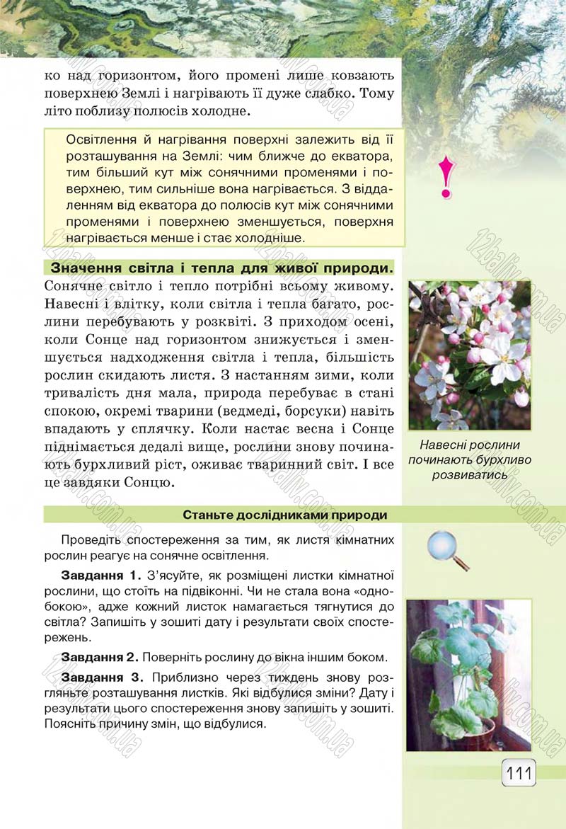 Сторінка 111 - Підручник 5 клас Природознавство Ярошенко 2018