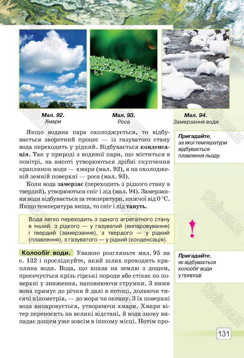 Сторінка 131 - Підручник 5 клас Природознавство Ярошенко 2018