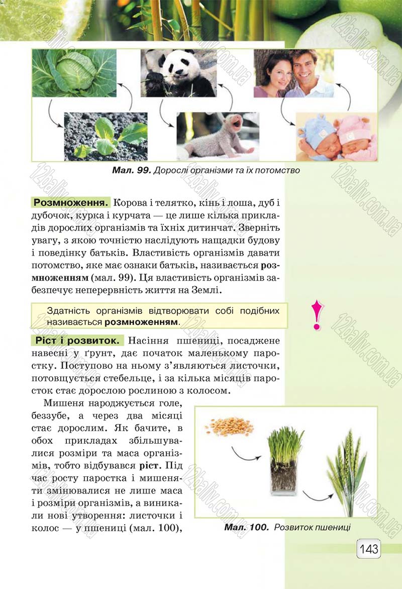 Сторінка 143 - Підручник 5 клас Природознавство Ярошенко 2018