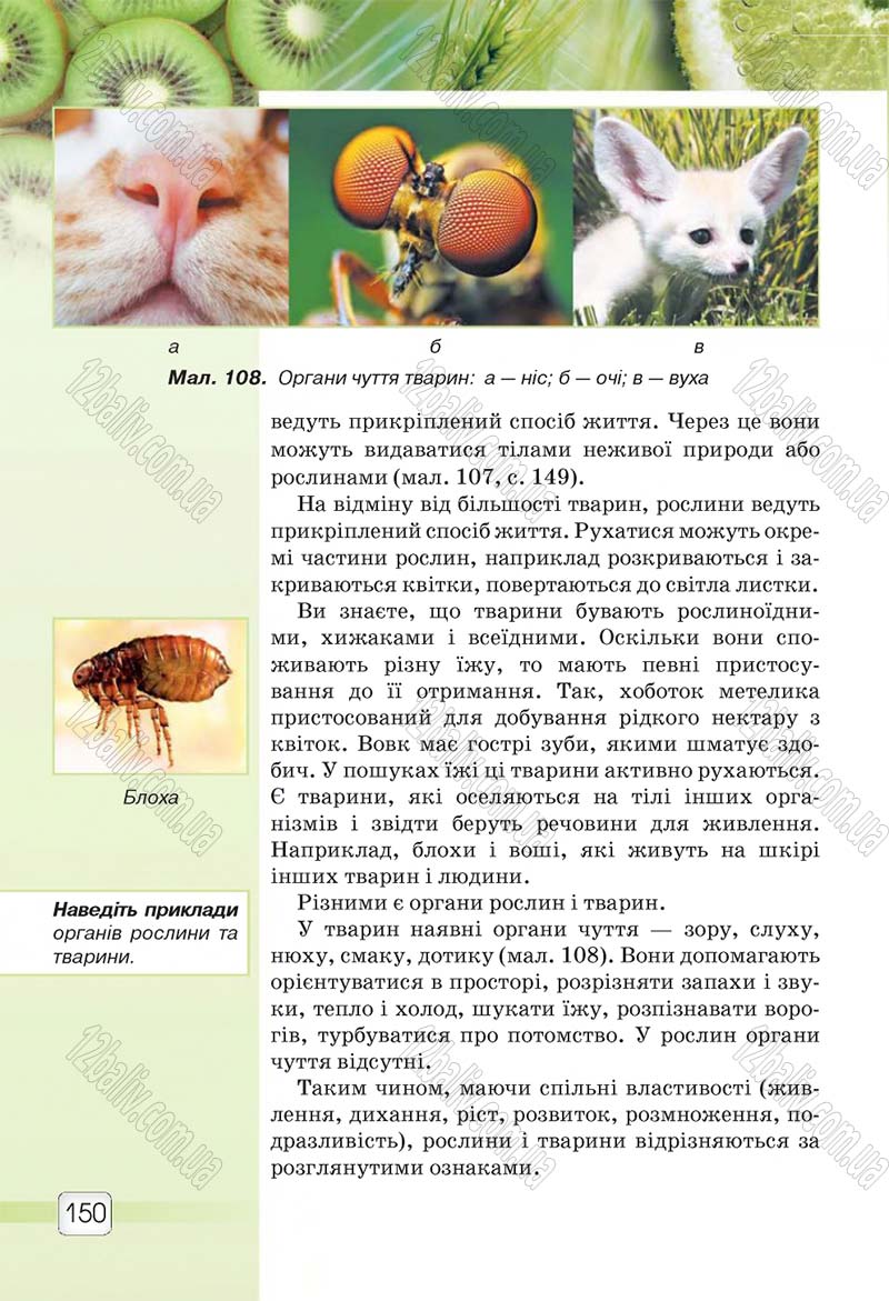 Сторінка 150 - Підручник 5 клас Природознавство Ярошенко 2018