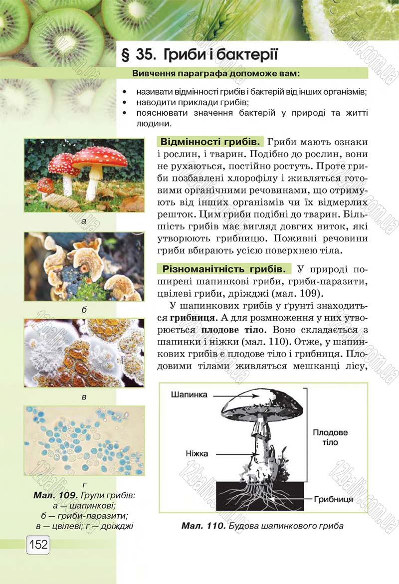 Сторінка 152 - Підручник 5 клас Природознавство Ярошенко 2018