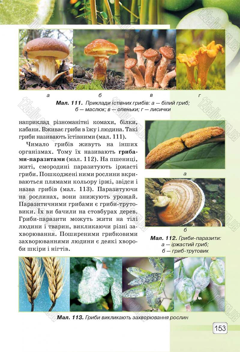 Сторінка 153 - Підручник 5 клас Природознавство Ярошенко 2018
